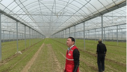 未雨绸缪 闻风而动——山东人保财险快速应对极端大风灾害