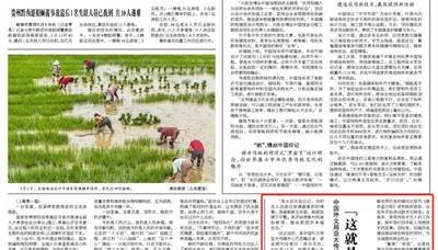 “这就是我诠释新疆的方式”（国际人士看新疆）