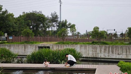 “两山”风起20年，浙江缙云的“守绿生金”路