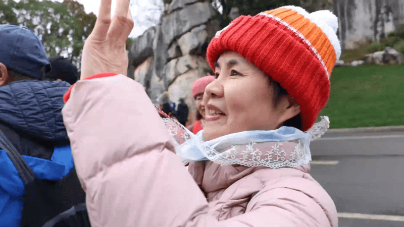 “银发族”成云南石林节后错峰游主力