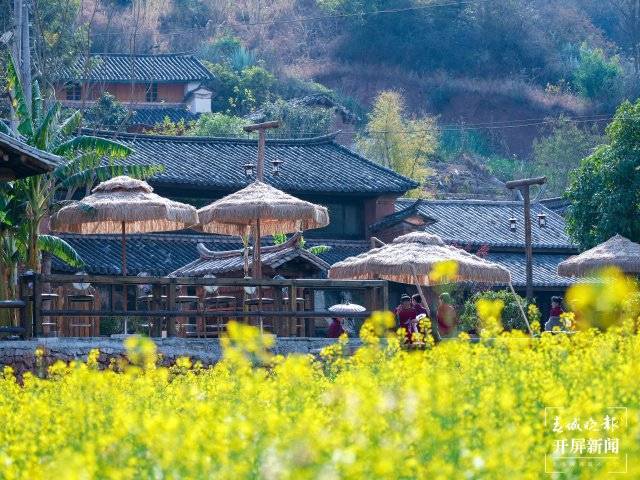 美好生活在云南｜大理南涧：春日寻芳美若画卷