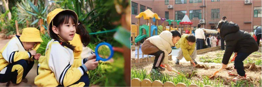 济南市天桥区行知幼儿园：杏林童趣润童心 家园携手育新苗
