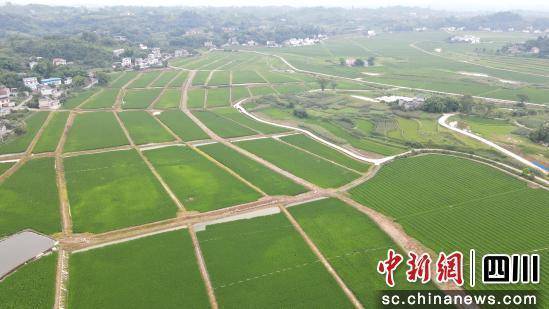 泸州泸县：建好现代农业园区 赋能乡村全面振兴