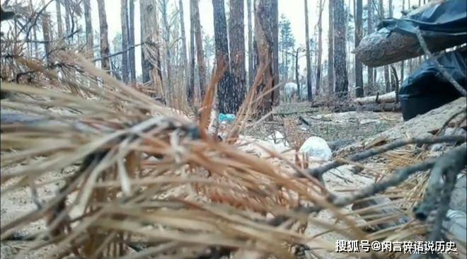 乌克兰空袭俄罗斯摩托旅指挥部！攻入布良斯克森林区