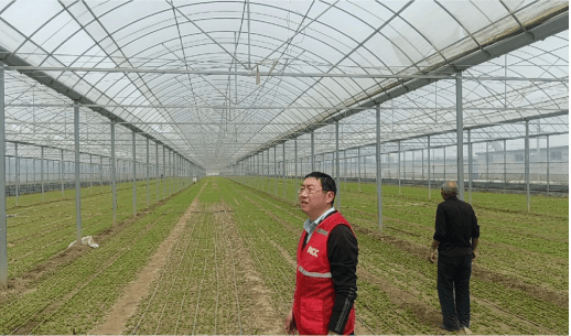 未雨绸缪 闻风而动——山东人保财险快速应对极端大风灾害