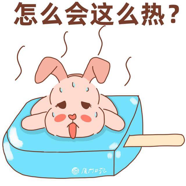 厦门正式宣布入夏