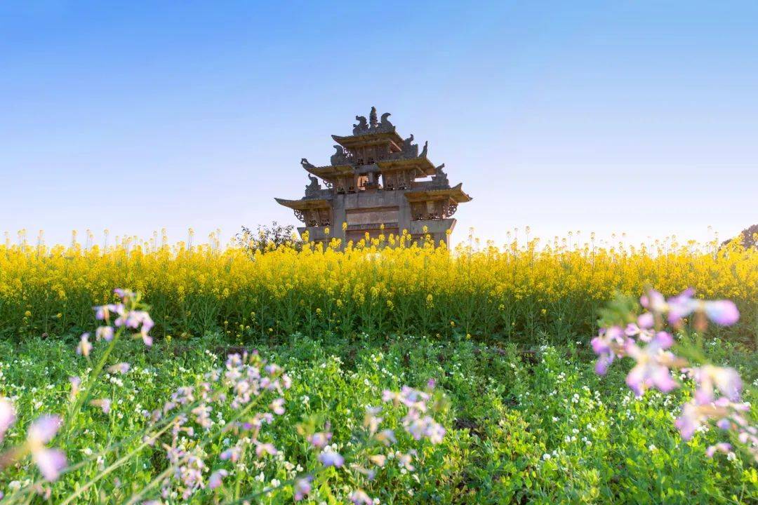 【美丽乐山建设】镜头下的乐山之美——犍为县