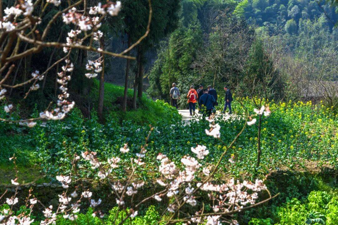 【美丽乐山建设】镜头下的乐山之美——犍为县