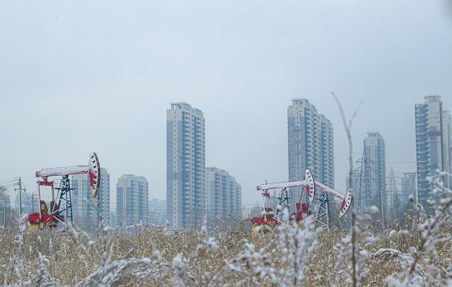 黑龙江多地降雪#