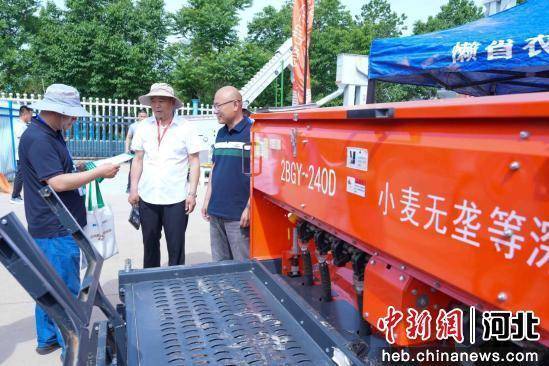 2025马兰小麦种业大会在河北辛集举行