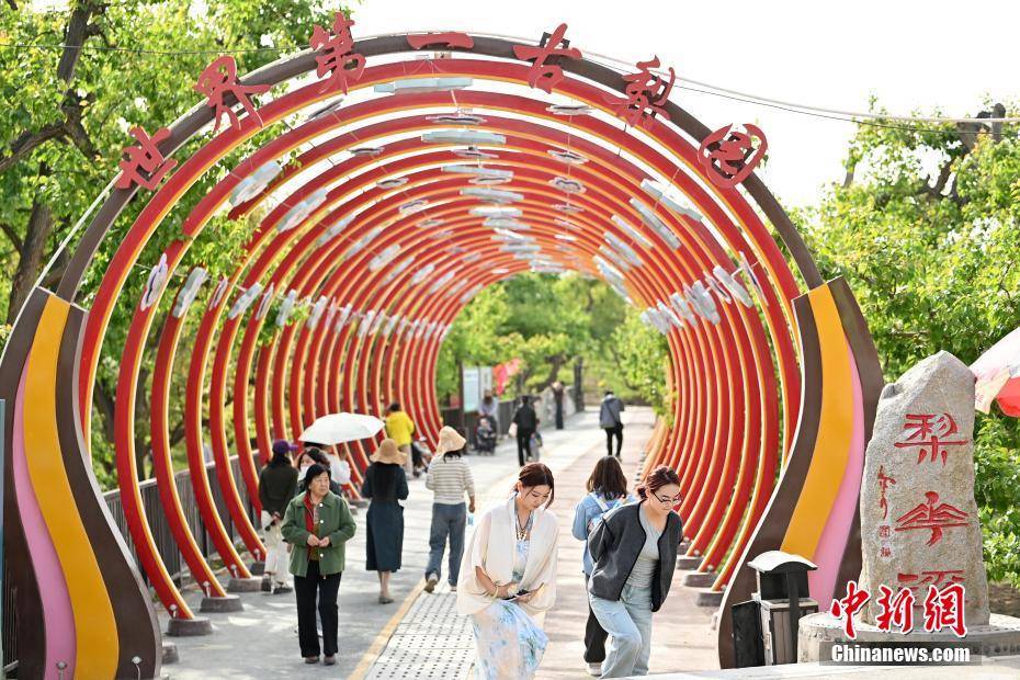 甘肃皋兰什川古梨园系统入选全球重要农业文化遗产
