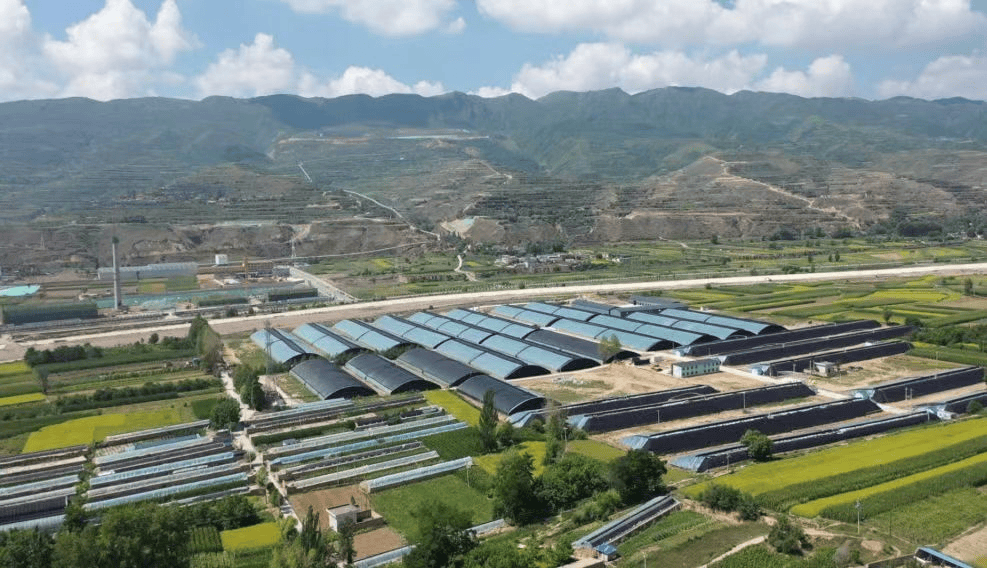 甘肃漳县：示范引领擘画振兴蓝图 五维聚力筑就和美乡村