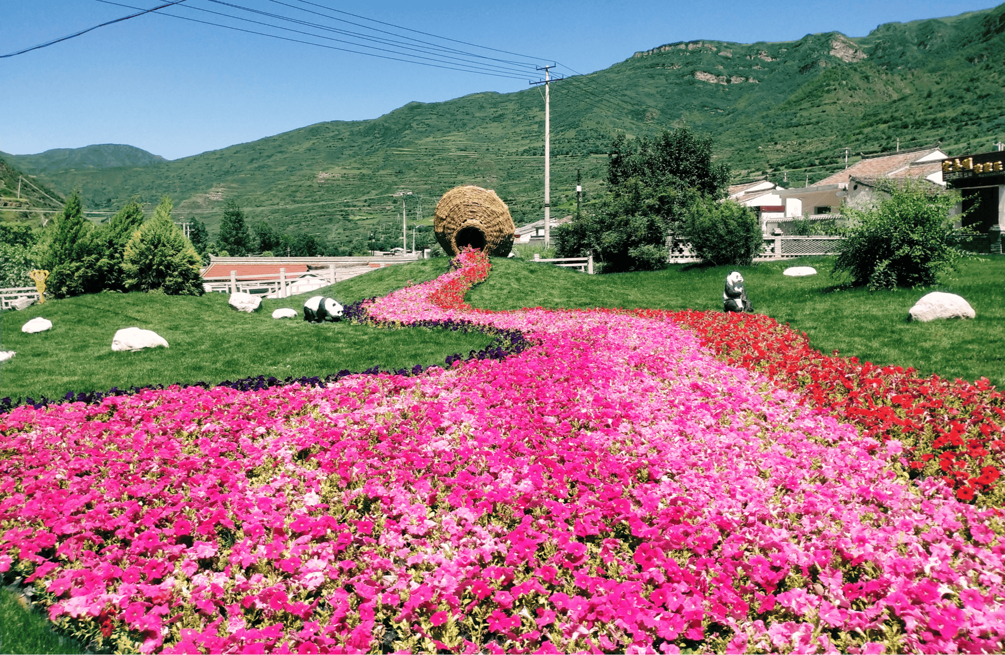 甘肃漳县：示范引领擘画振兴蓝图 五维聚力筑就和美乡村