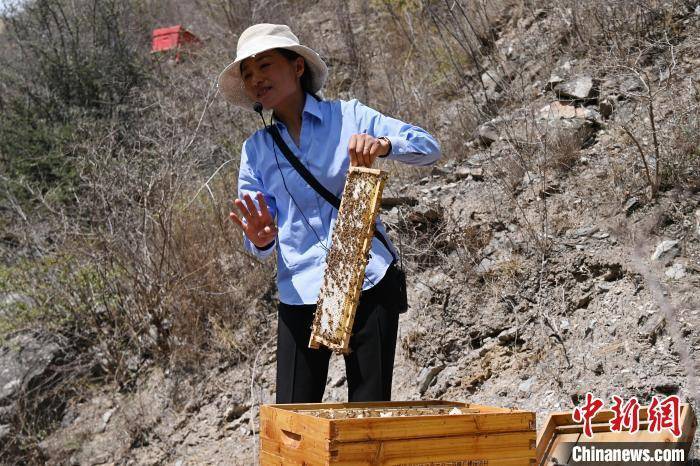 第九届“世界蜜蜂日”全国主会场活动在甘肃舟曲县启动