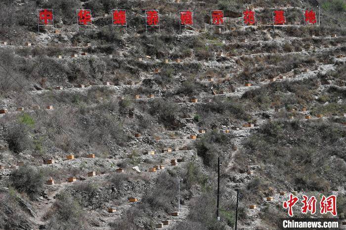 第九届“世界蜜蜂日”全国主会场活动在甘肃舟曲县启动