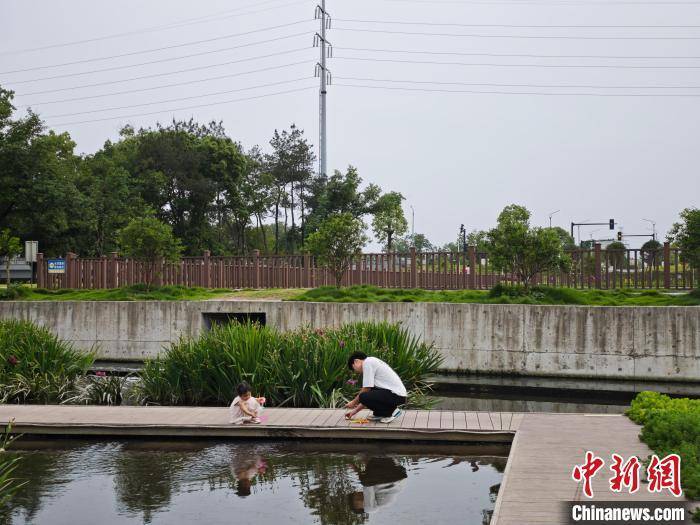 “两山”风起20年，浙江缙云的“守绿生金”路