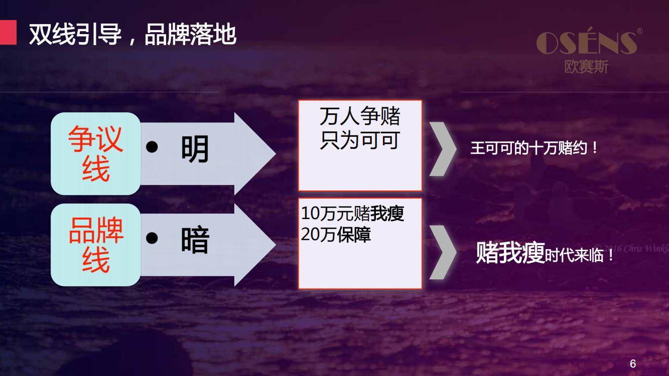 欧赛斯丁神社交APP数字营销推广方案